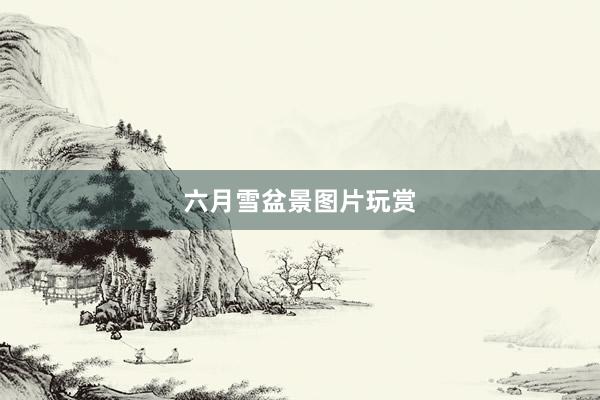 六月雪盆景图片玩赏