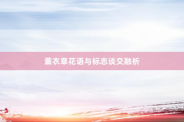 薰衣草花语与标志谈交融析