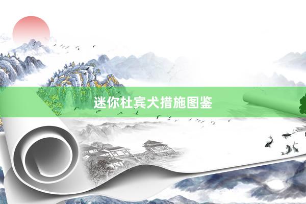 迷你杜宾犬措施图鉴